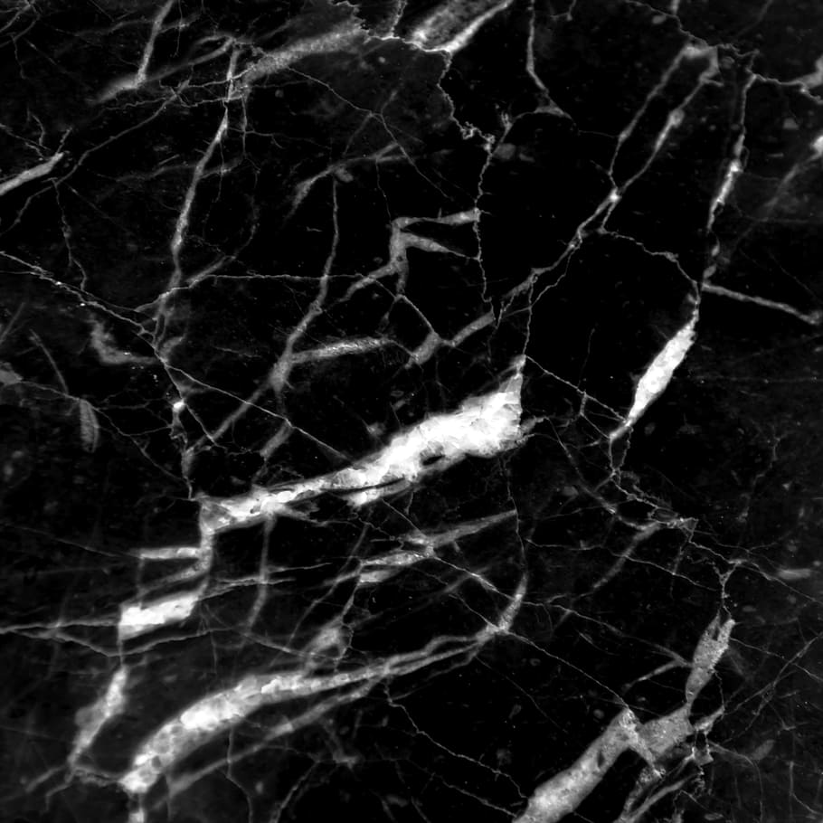 Black White Marble Tile, ceramic, antique, bleach, plant part Free HD Wallpaper