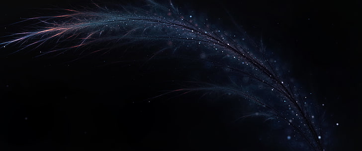 Bright Peacock Feather, indoors, night, softness, dark Free HD Wallpaper