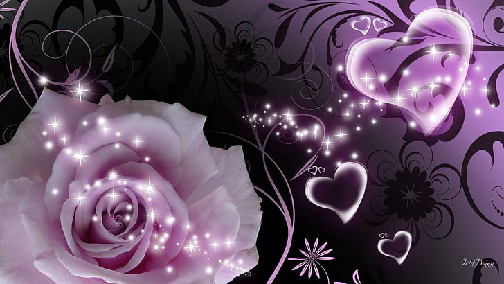 Dahlia Flower Bouquet, stars, nature and landsc, rose, darkness Free HD Wallpaper