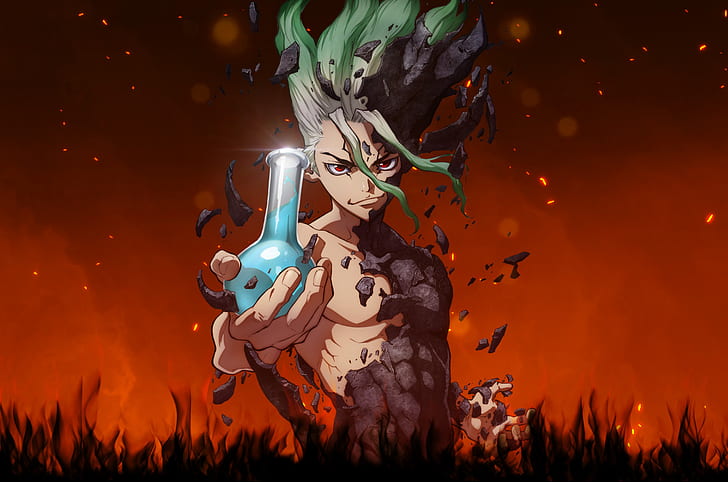 Dr Stone, dr stone, anime, senku ishigami