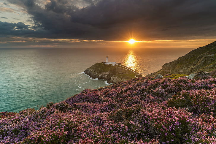 Fall Mountain Lake Flowers, heather, scenics, coastline, sunlight Free HD Wallpaper