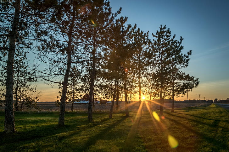 Fall Sunset, tree, summer, nature, barn