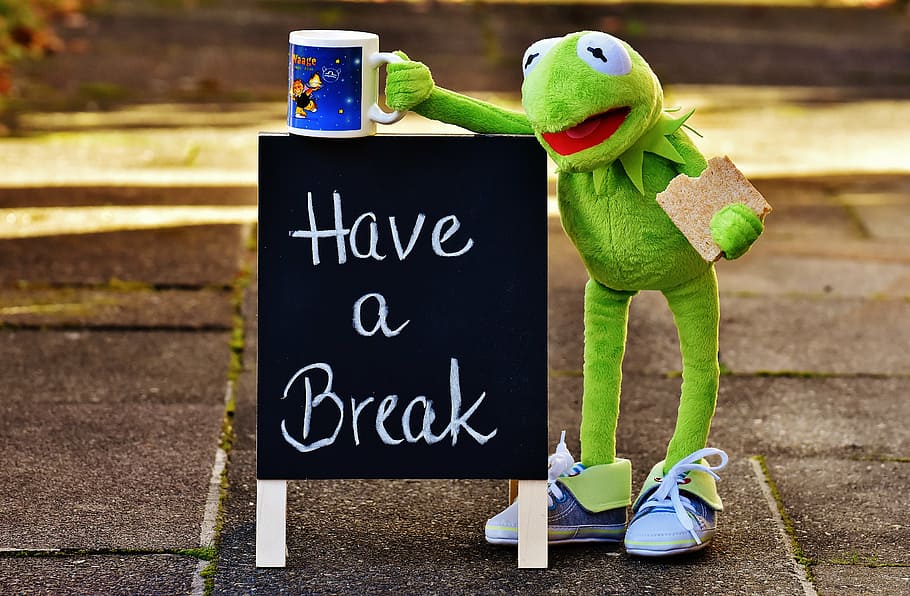 Kermit Tea Cup, creativity, food and drink, coffee mugs, green color Free HD Wallpaper
