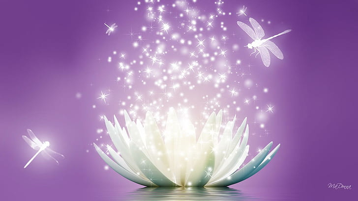 Lotus Flower, lilac, flower, water, sparkle Free HD Wallpaper