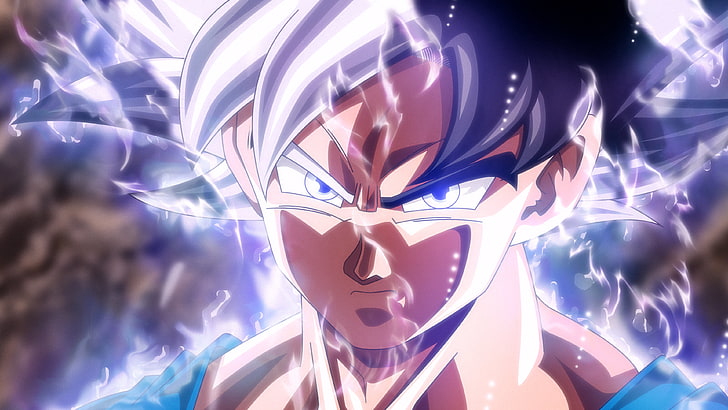 Mastered Instinct Ultra Dragon Ball Goku, dragon ball, mastered ultra instinct, dragon ball super, emotion Free HD Wallpaper