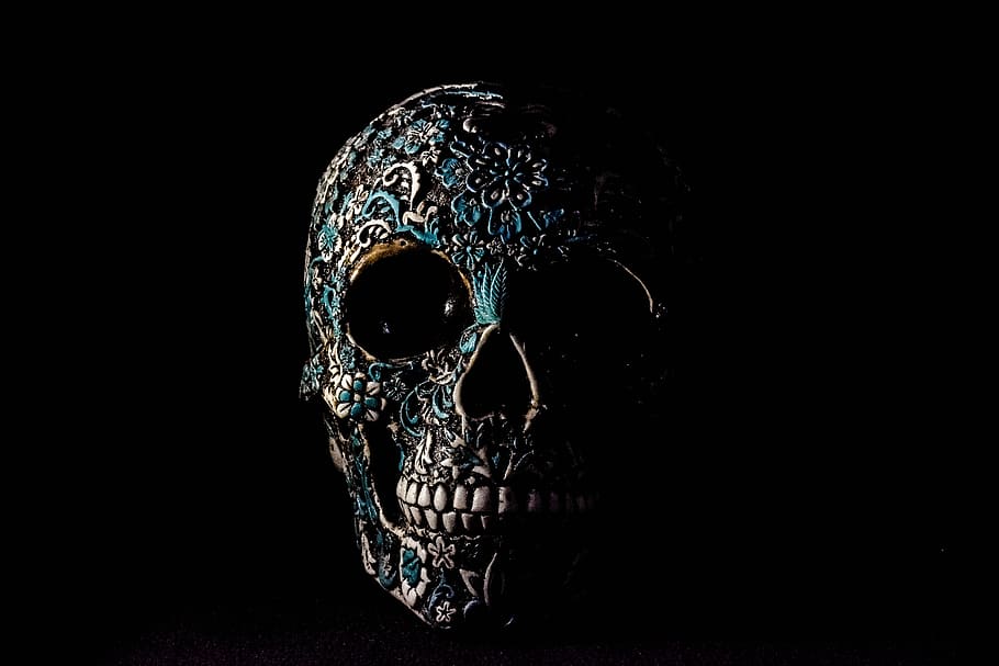 Neon Blue Skull, copy space, design, indoors, cut out Free HD Wallpaper