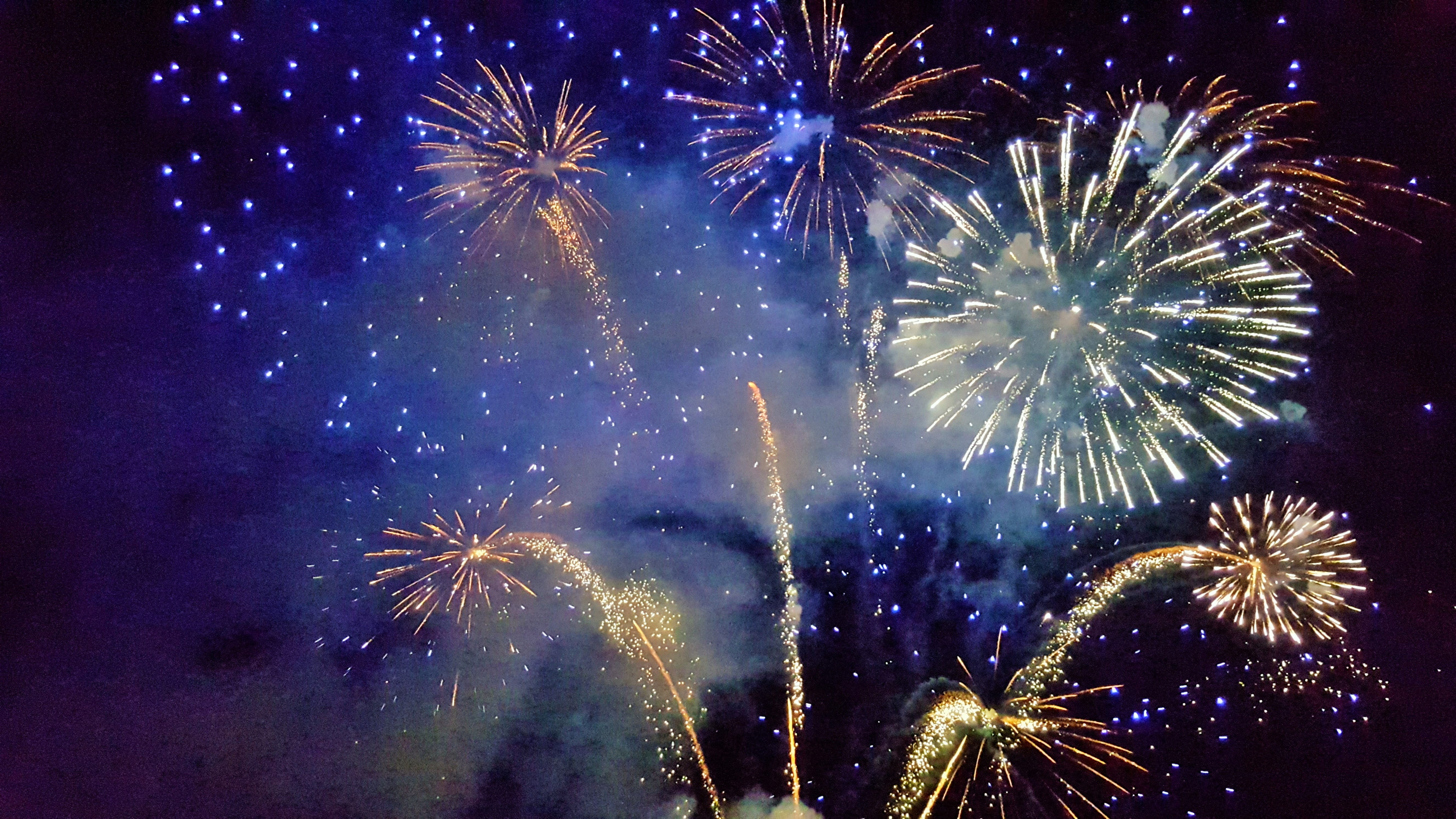 New Year's Eve Appetizers, nature, new years eve, fireworks, festival
