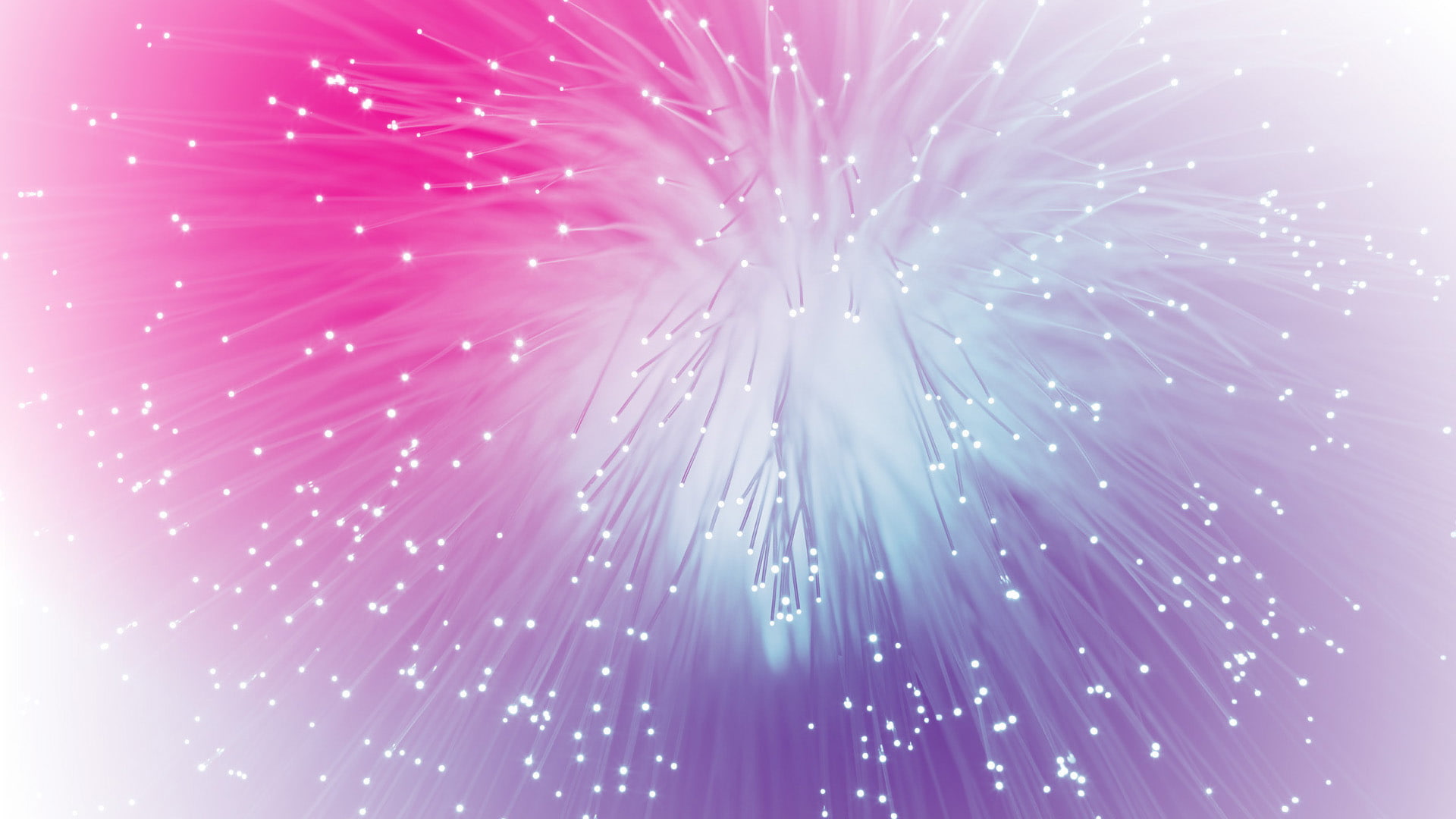 Pink Purple and Blue, black, digital, festival, celebration