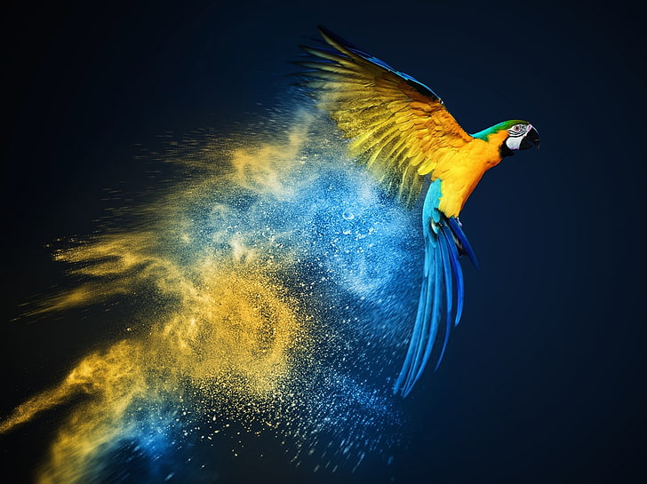 Red Macaw Parrot, cyan, one animal, side view, motion Free HD Wallpaper