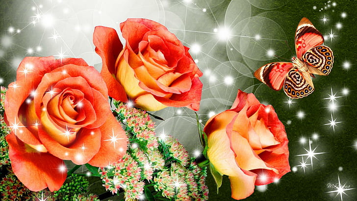Rose On Fire, fire, shine, rose, roses Free HD Wallpaper