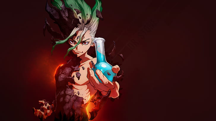 Senko Dr Stone, flask, dr stone, anime Free HD Wallpaper