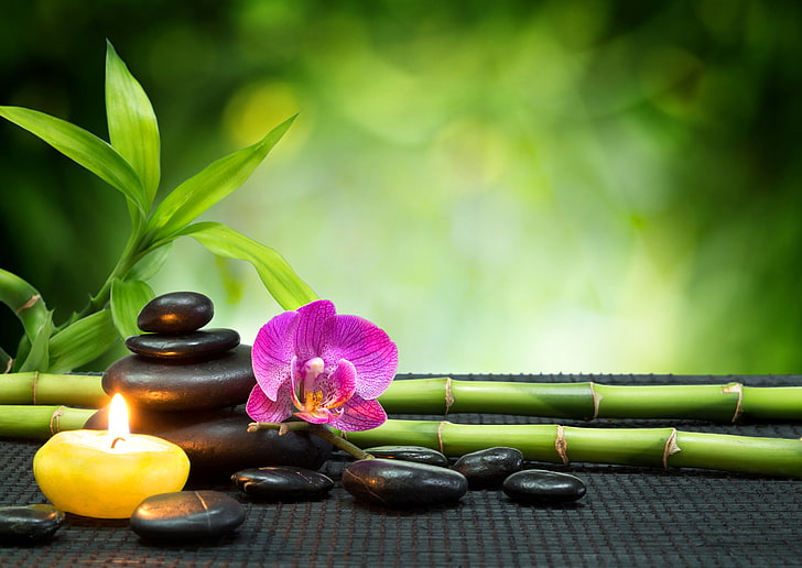 Spa Zen, feng shui, healthcare and medicine, wood  material, body care