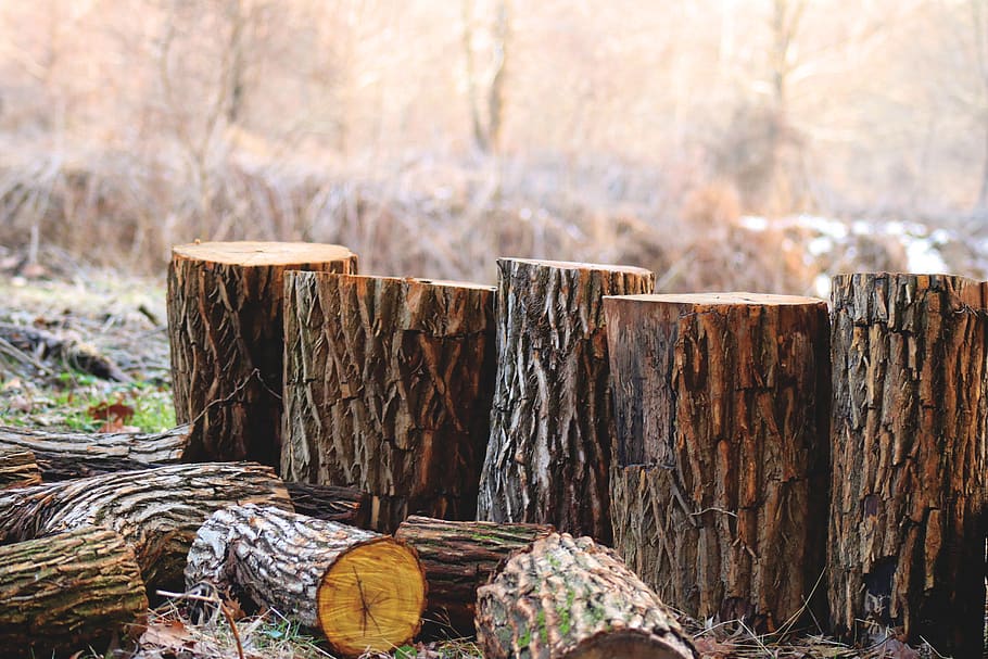Tree Stump Remover, depth, deforestation, color, lumber