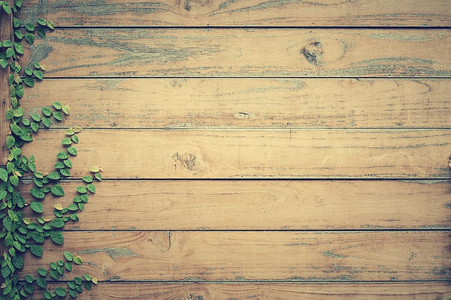 Wood Pattern, wood grain, rustic, textured, closeup