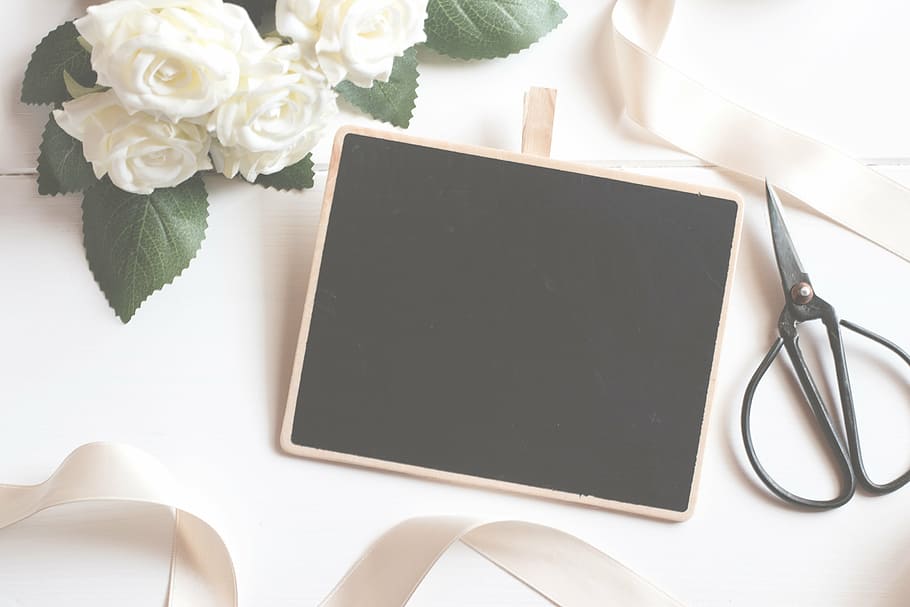 Wooden Chalkboard, rose  flower, frame, beauty in nature, connection