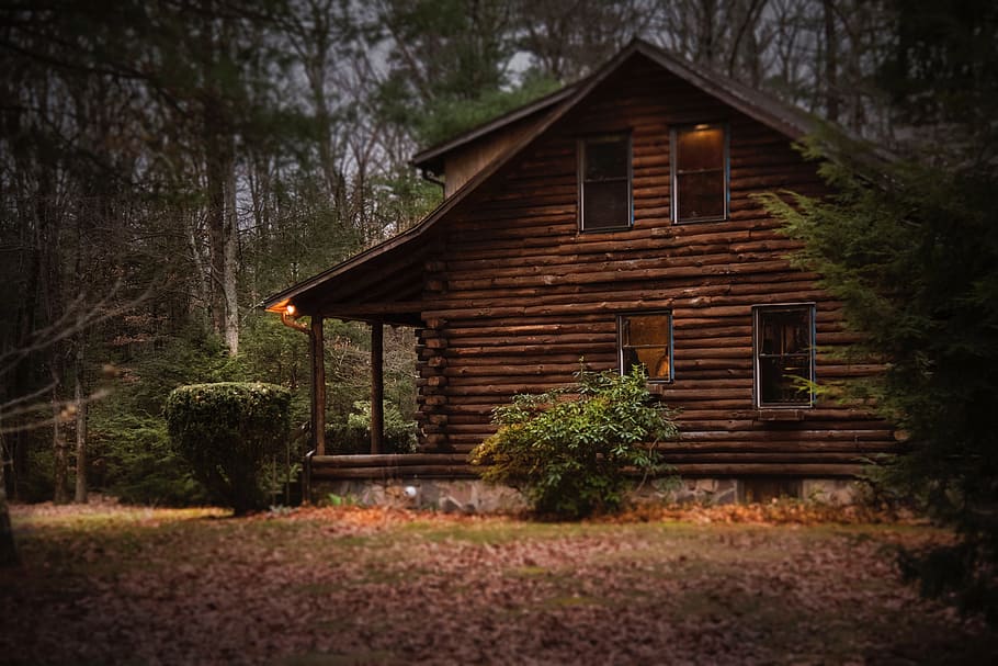 Wooden Log Cabin, land, cottage, building exterior, tree