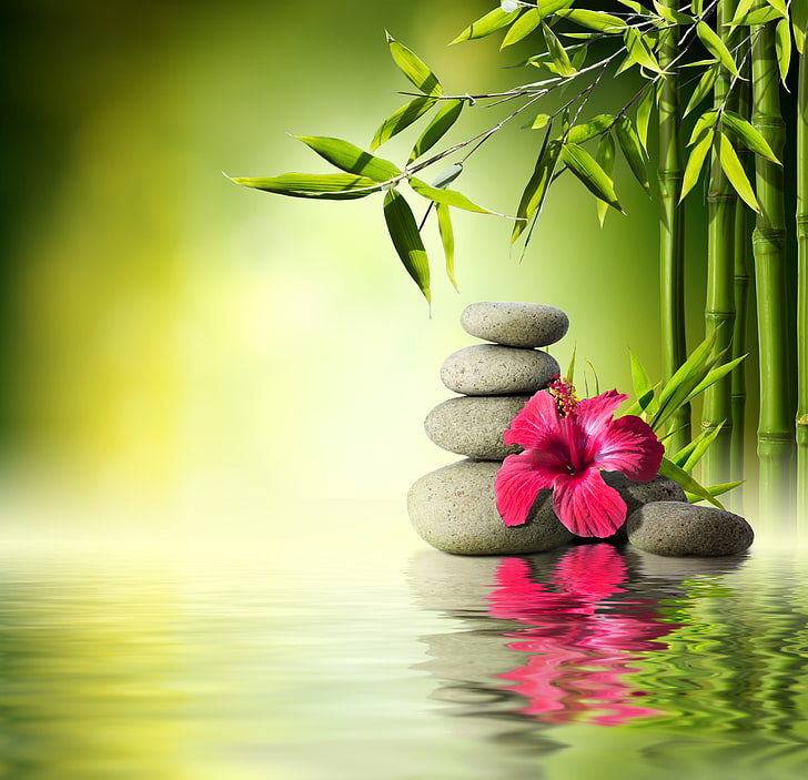 Zen Nature HD, buddhism, solid, decoration, green color Free HD Wallpaper