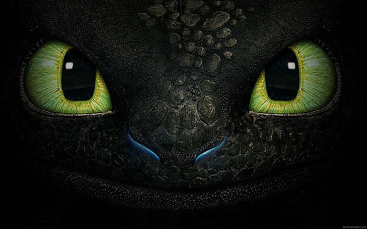 Baby Toothless the Dragon, to, toothless, movie, cartoon Free HD Wallpaper