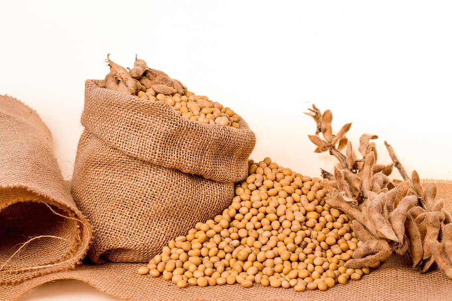 Beck Seed Soybean Bags, vegetarian food, legume family, bag, raw food Free HD Wallpaper