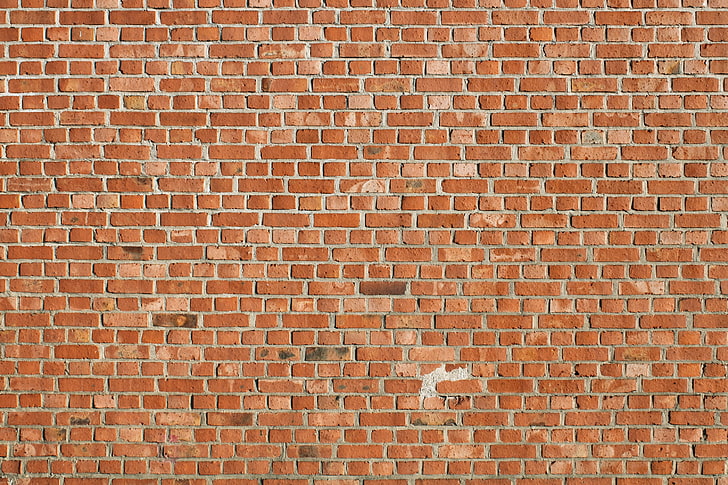 Brick Wall Vector, outdoors, surface level, closeup, concrete