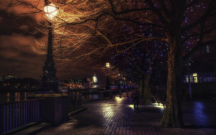Brooklyn Streets at Night, christmas, street light, trees, architecture Free HD Wallpaper