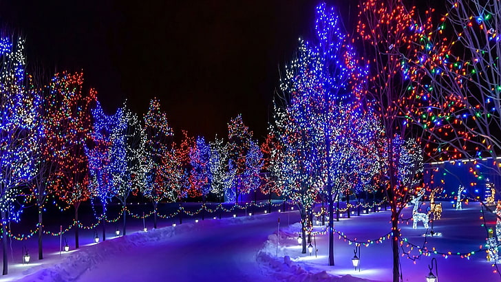 Christmas Tree Lights Snow, plant, lighting equipment, light, holiday