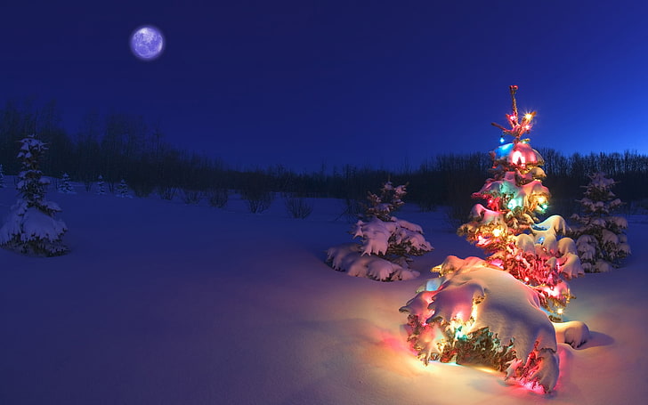 Christmas Windows 7, snow, scenics, vacations, dusk Free HD Wallpaper