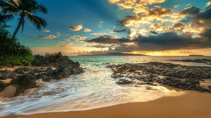 Free Beaches Maui Hawaii, wave, tropics, tropical climate, no people Free HD Wallpaper