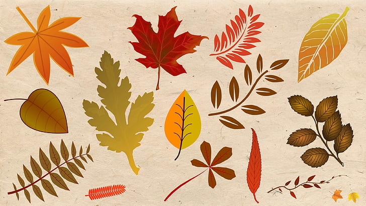 Free Christian Thanksgiving, plant, fall colors, leaf, beauty in nature Free HD Wallpaper