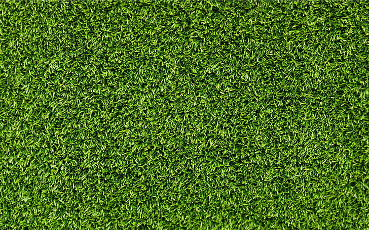 Grass Texture 1024X1024, turf, stadium, soccer field, no people Free HD Wallpaper