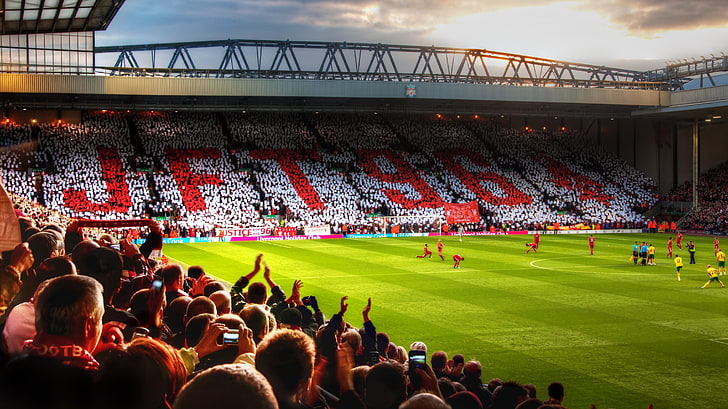 Photos of Crowds, men, grass, outdoors, anfield