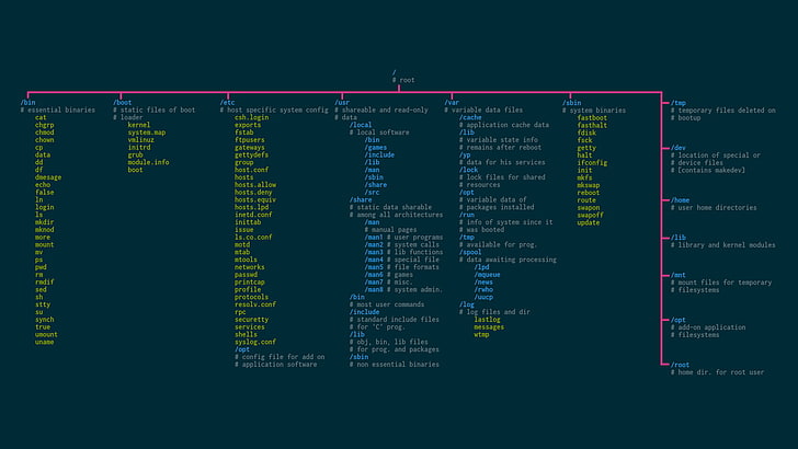 Programming Code, linux, screen, computer equipment, infographic Free HD Wallpaper