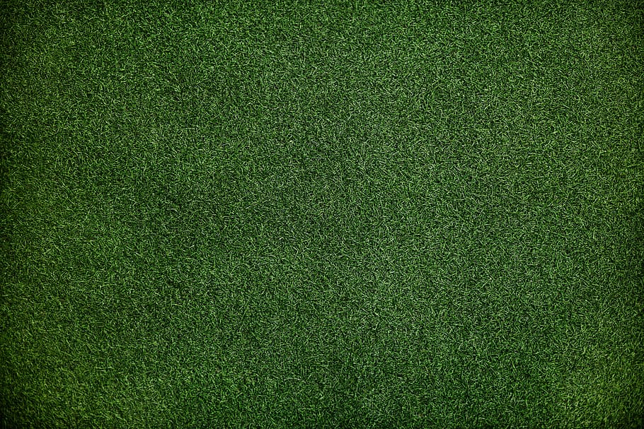 rough, playing field, grass, environmental Free HD Wallpaper