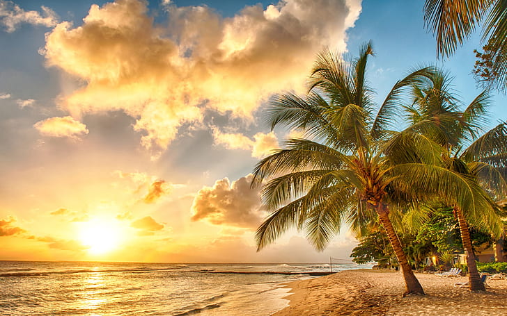 Tropical Island Sunset, paradise, palm, tropical, sea Free HD Wallpaper