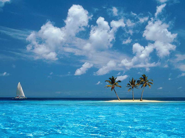 Windows XP Palm Tree, oceans, nature, art, 1280x960 Free HD Wallpaper