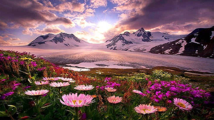 Alaska Computer, spring, sunlight, dawn, meadow Free HD Wallpaper