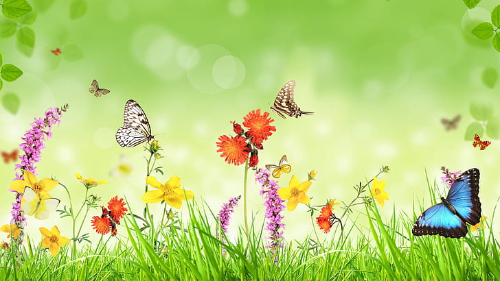 Beautiful Butterflies On Flowers, spring, butterfly, creative, green Free HD Wallpaper