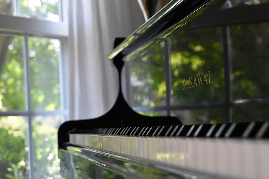 Black Grand Piano, notes, closeup, focus on foreground, key Free HD Wallpaper