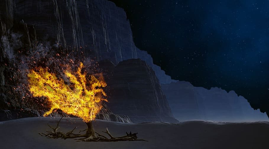 Burning Bush Exodus, nonurban scene, mountain, outdoors, burning Free HD Wallpaper