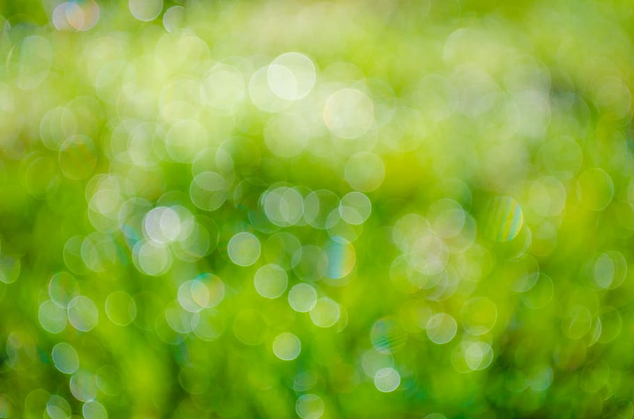 Dark Bokeh, defocus, no people, foliage, holiday Free HD Wallpaper