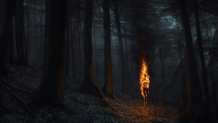 Dark Forest Concept Art, nature, fire, landscape, ash Free HD Wallpaper