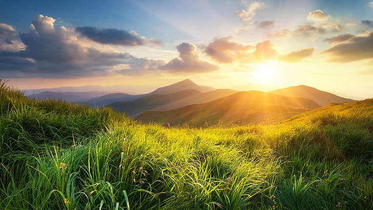 Good Morning Natural, sunrise, sky, field, grass Free HD Wallpaper