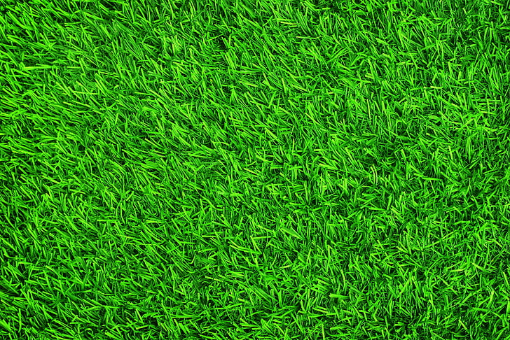 Grass Green Color, lush foliage, day, soccer, textured effect Free HD Wallpaper