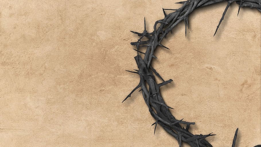 Heart with Thorns Bible, closeup, crucifix, faith, life Free HD Wallpaper