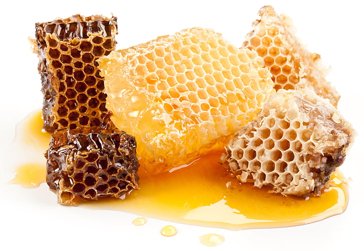 Honey, apiculture, insect, healthy eating, freshness Free HD Wallpaper