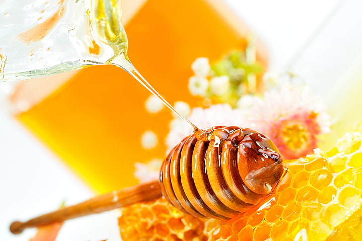 Honey Bee Clip Art, glass, eating, water, sweet food Free HD Wallpaper