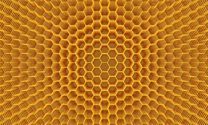 Honey Computer, circle, macro, animal themes, steel Free HD Wallpaper