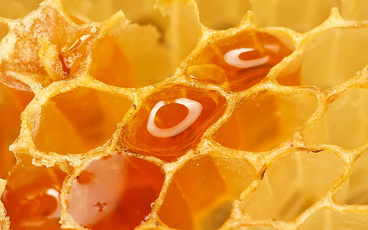Honey with Honeycomb, healthy eating, temptation, textured, snack Free HD Wallpaper