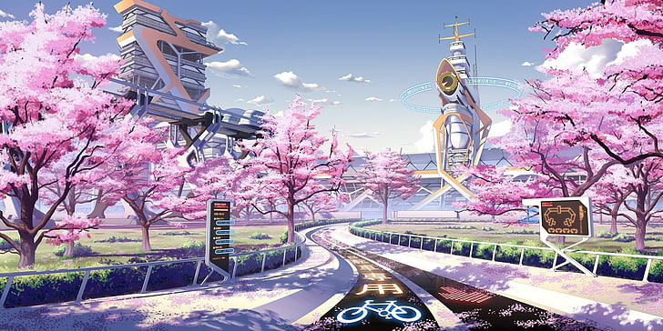 Japanese Blossom Tree, growth, flower head, fragility, cityscape Free HD Wallpaper