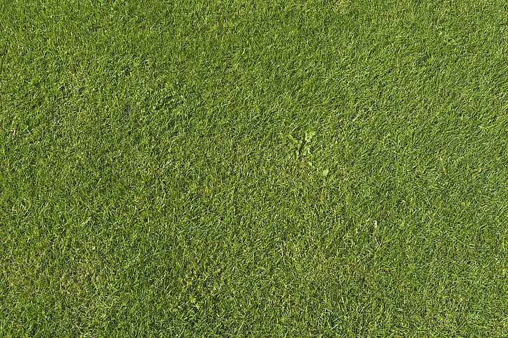 Lawn Grass Texture Seamless, green, simple, grass, texture Free HD Wallpaper